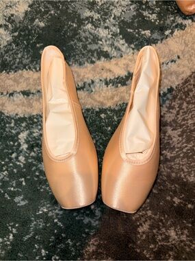 Gaynor Minden Pointe Shoes